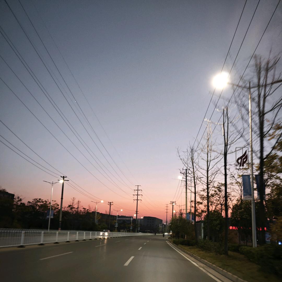 海棠听风