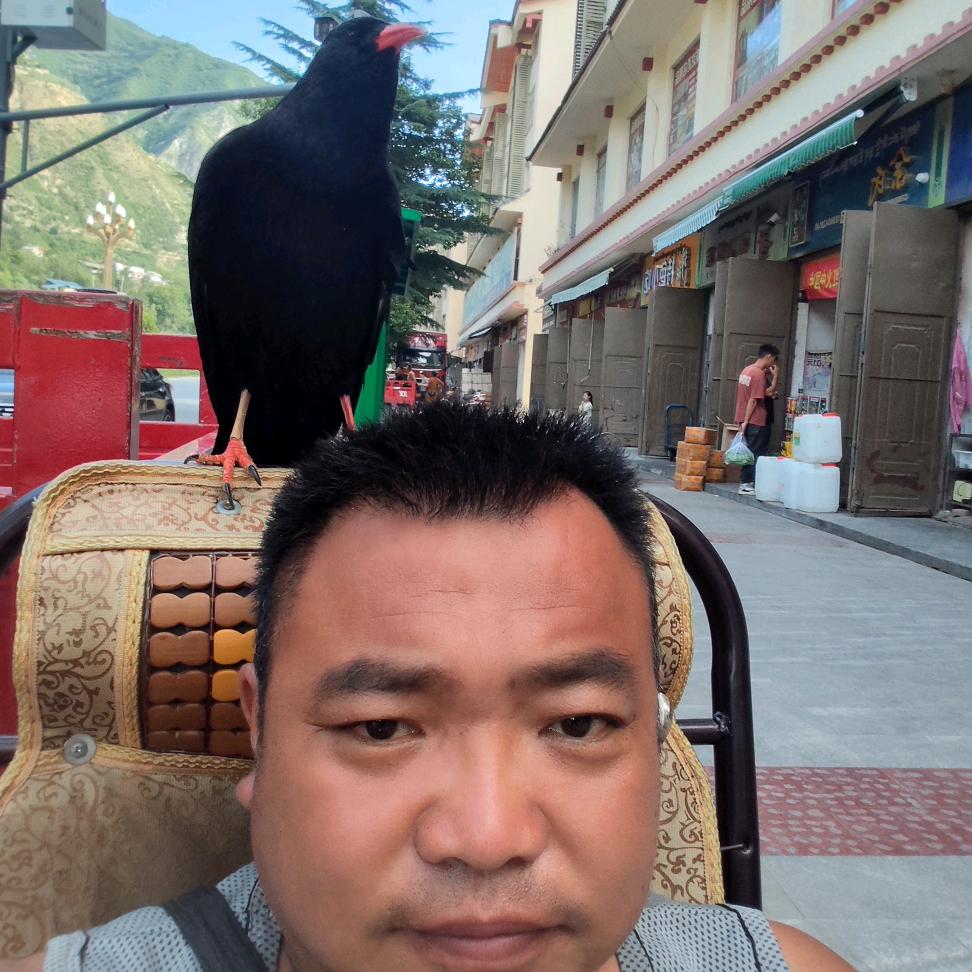 清平市场，日杂用品，饲料  背斗