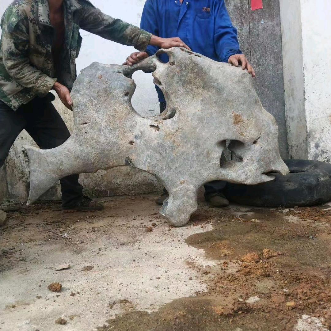 专业桥梁混凝土班主