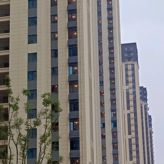 山水情