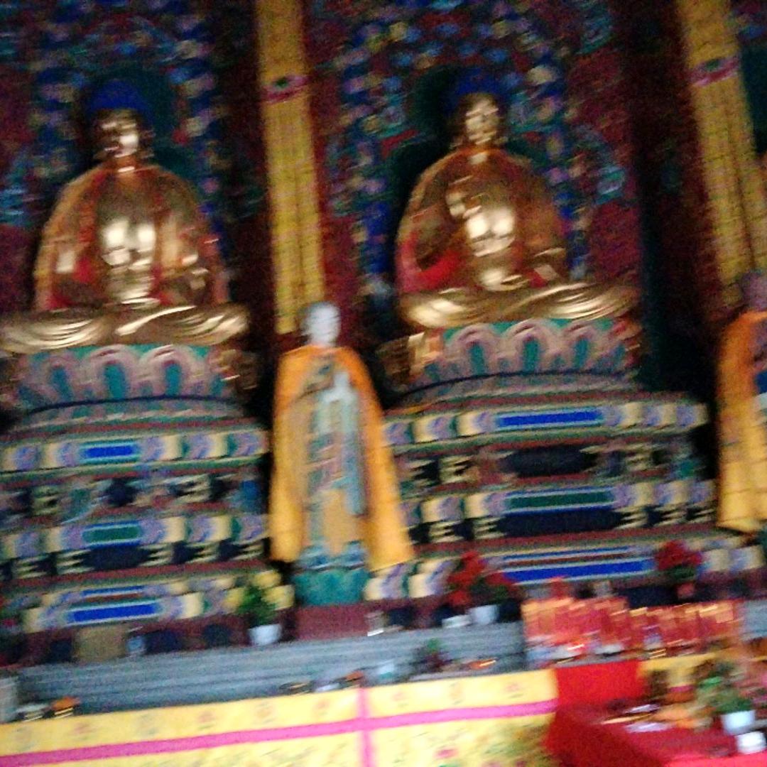 平安人生℡