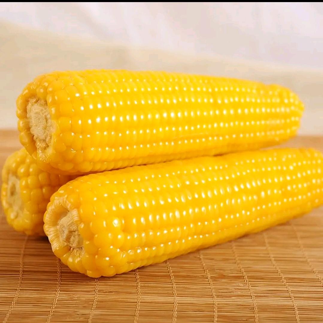烹然心动