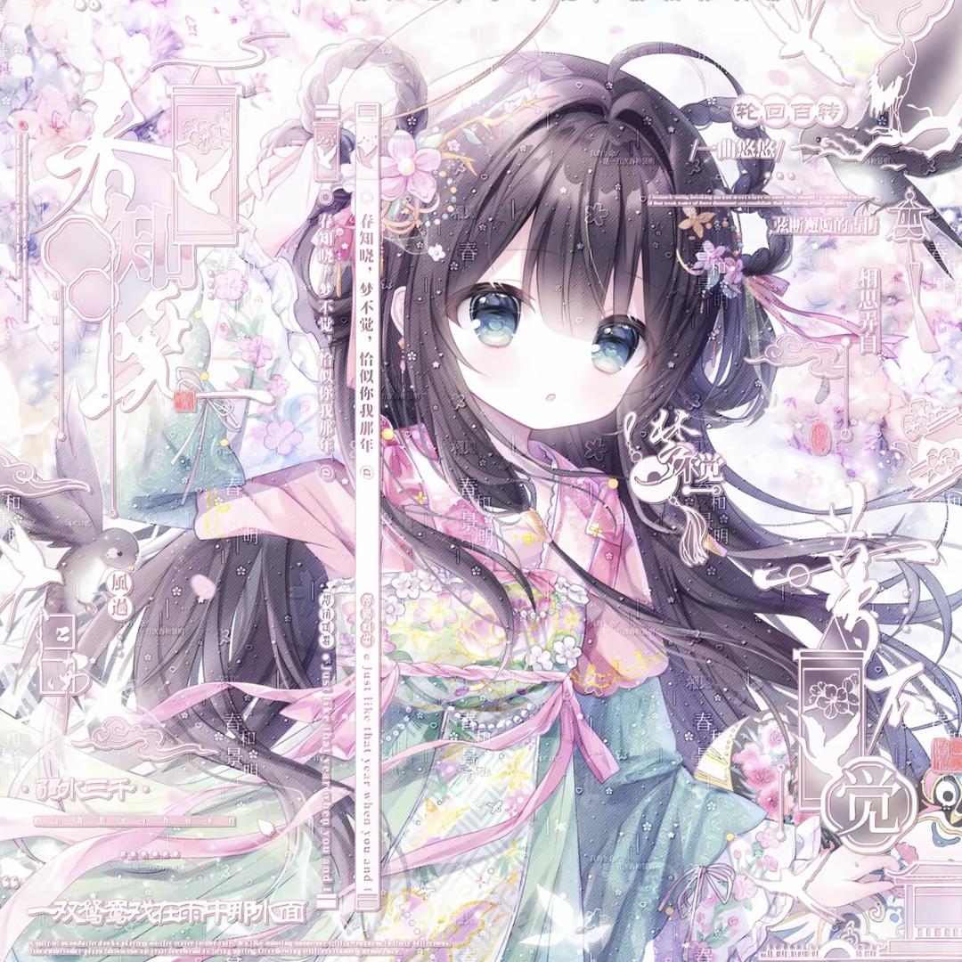 Tulip.白妤蒽💭