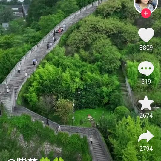 酒入相思