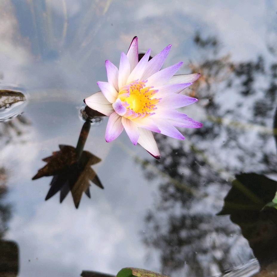 🈚生🈶(●'◡'●)