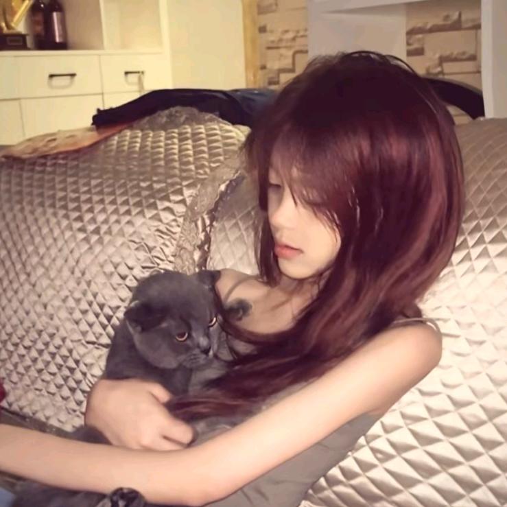 躺平的钵钵鸡🐽