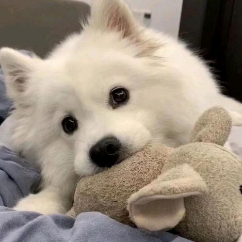 不发脾气只发财👾