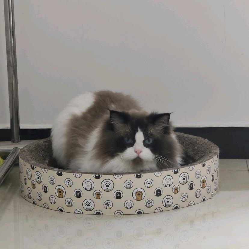 个性签名