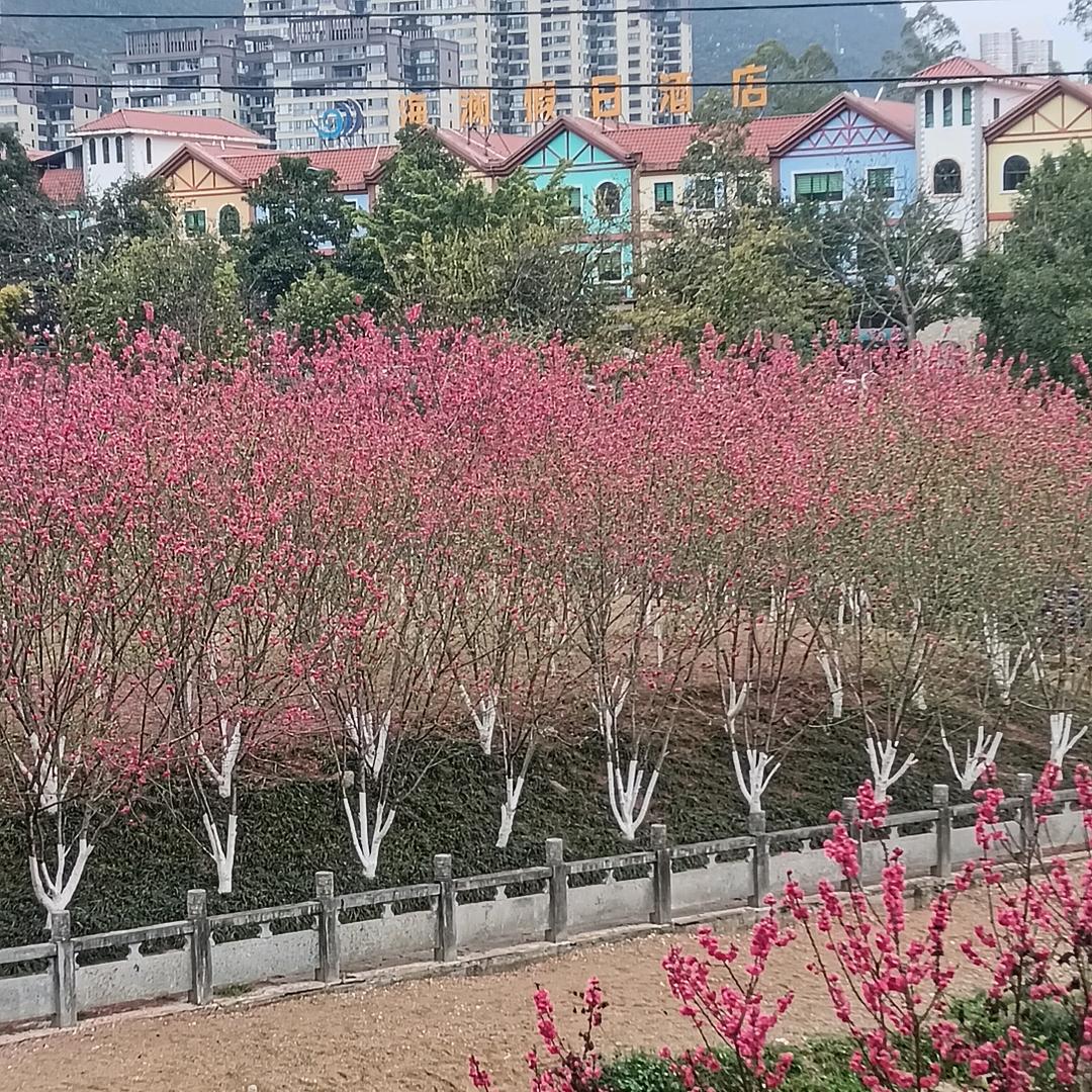 李树爽 佳格