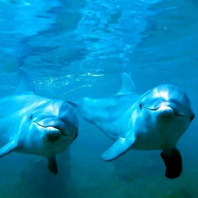 李培培宝丰点石装饰安乐窝