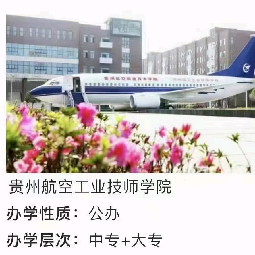 公办学校胡主任