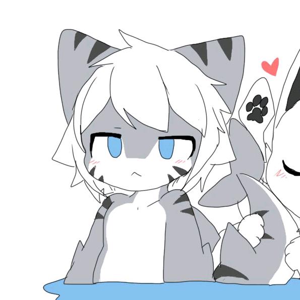 小喵鲨