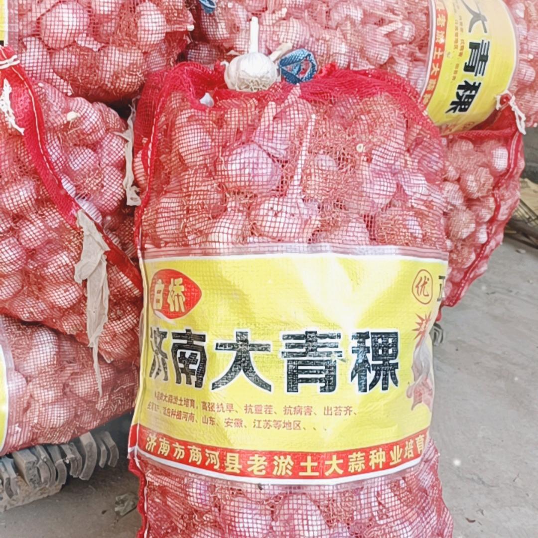 内黄辣椒大蒜！