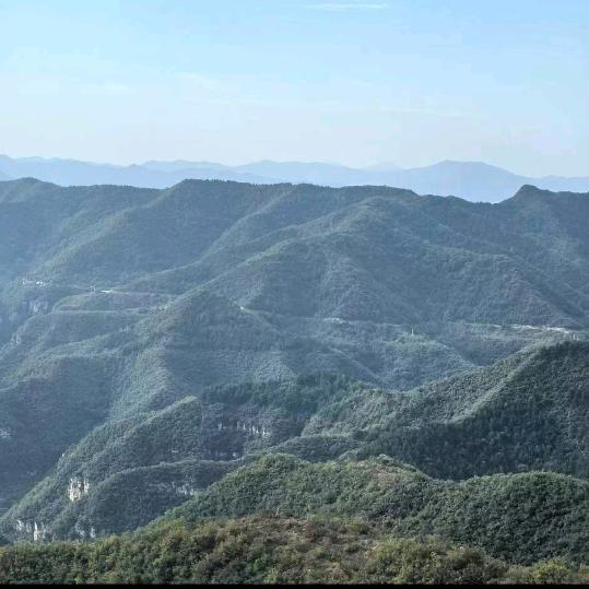 侯小胖