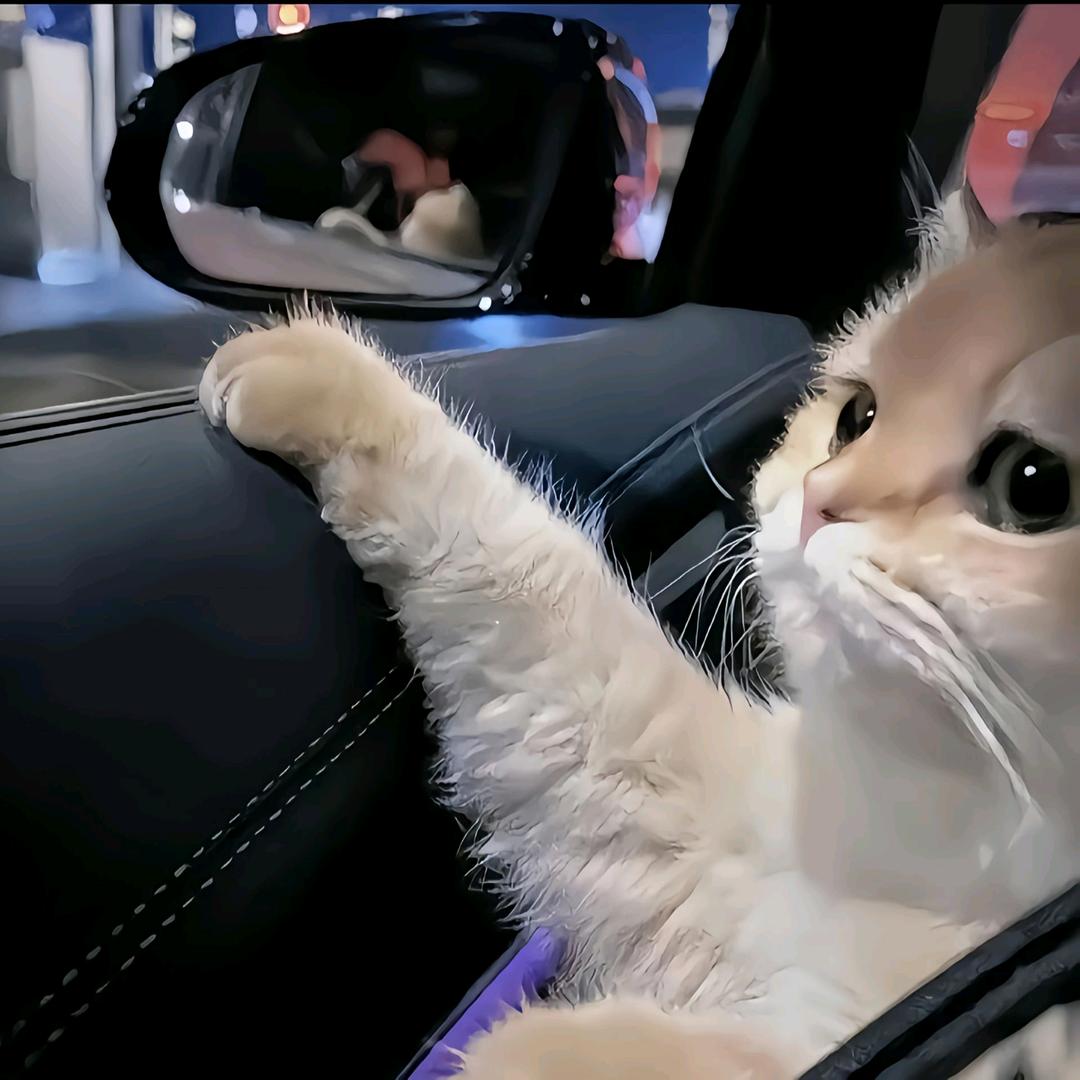 ㅤㅤㅤㅤ   ㅤㅤ