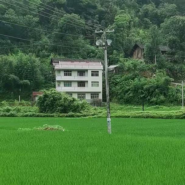 一  身  逍  遥