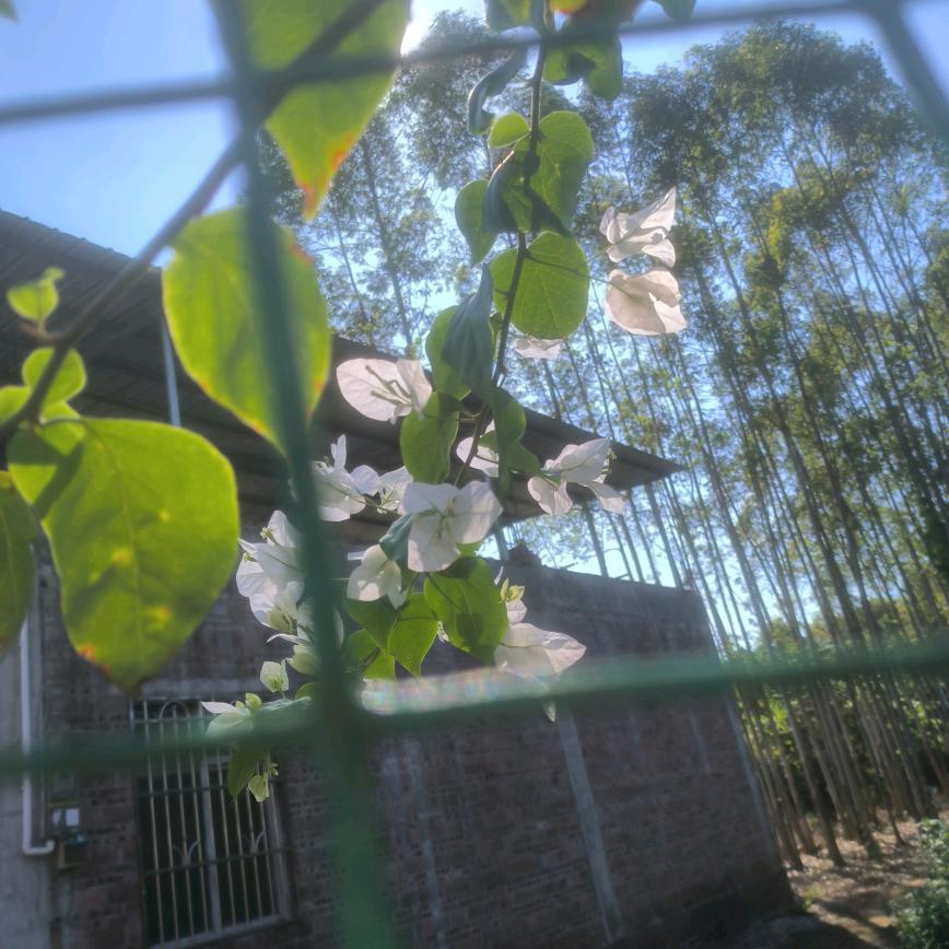 如意农家特产干货。