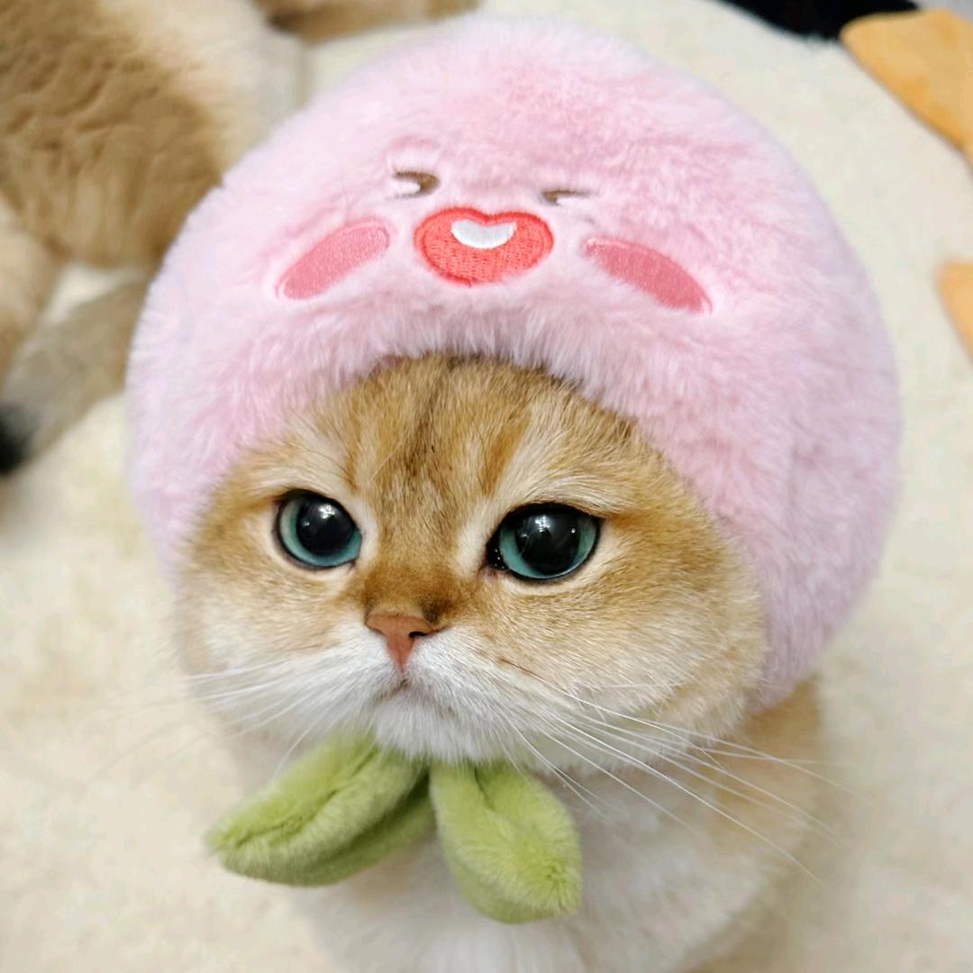 欧气爆棚冲冲冲