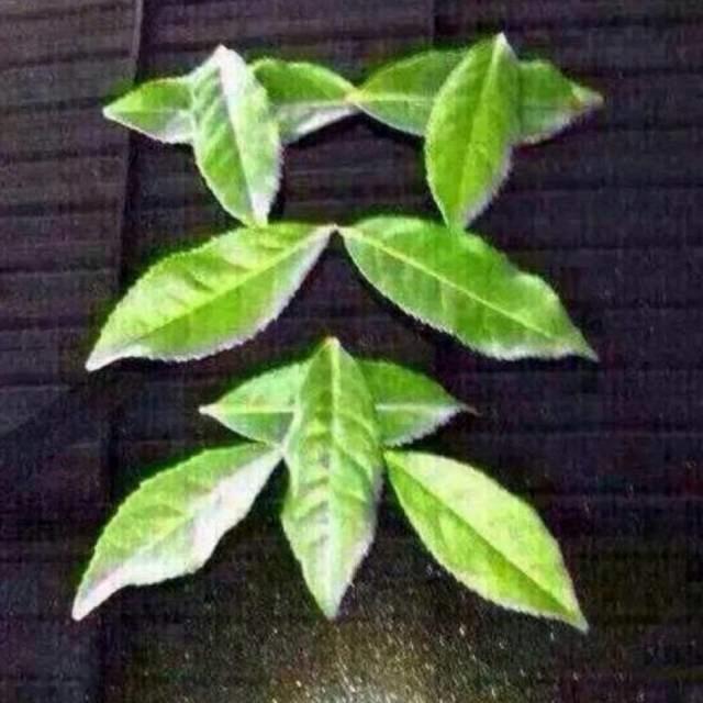 💗ℒℴѵℯ執🍒念⁵²⁰℘࿐