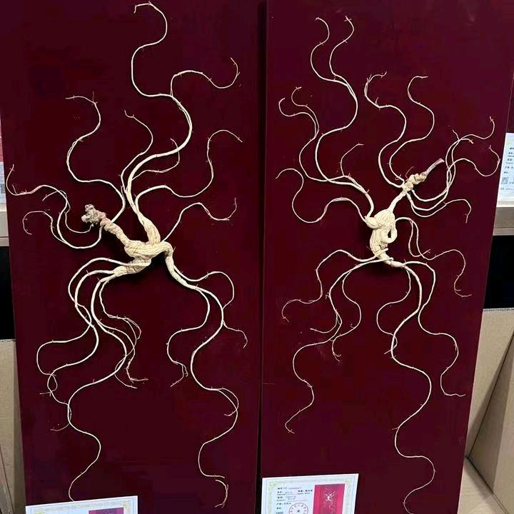 东北特产红红