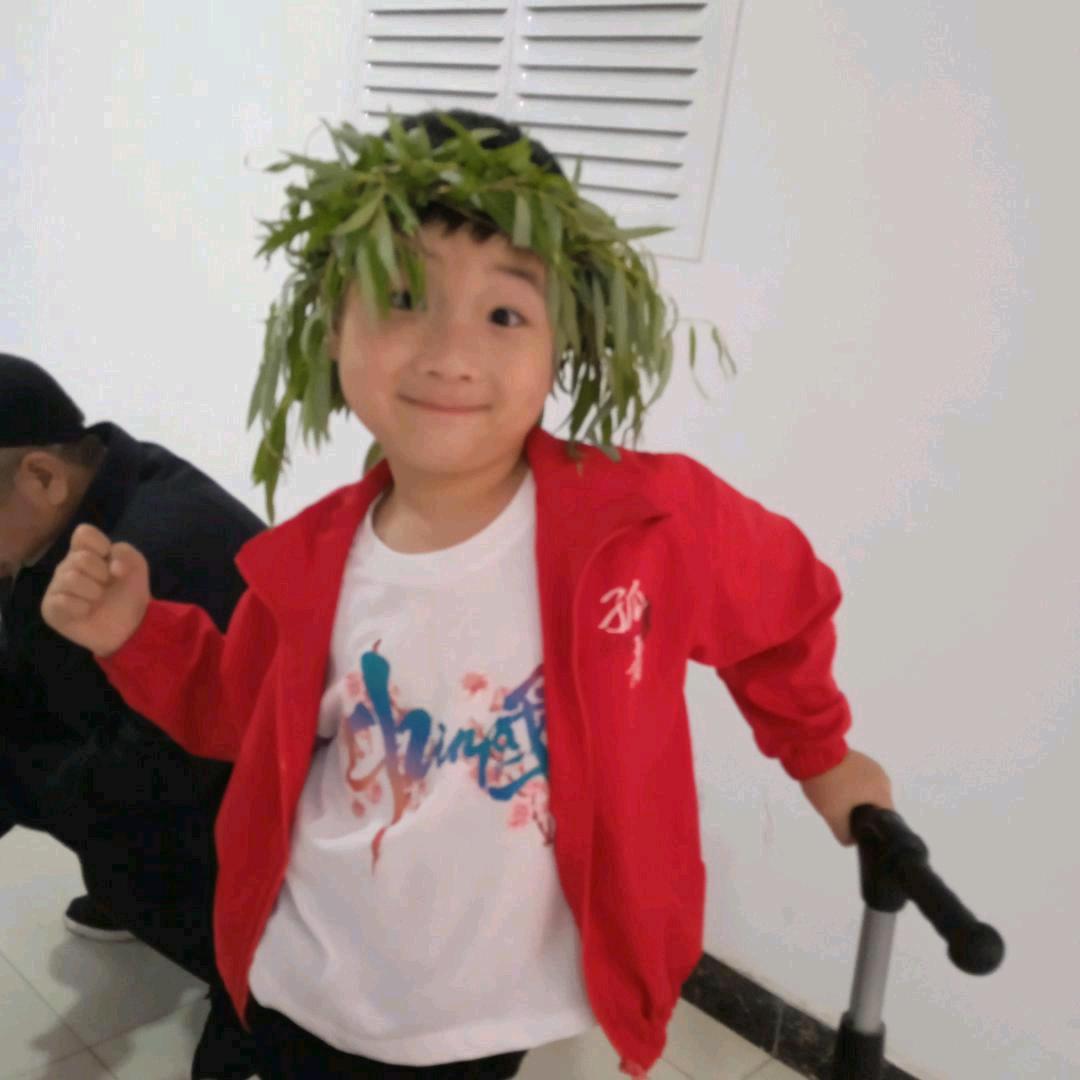 舞尽芳华