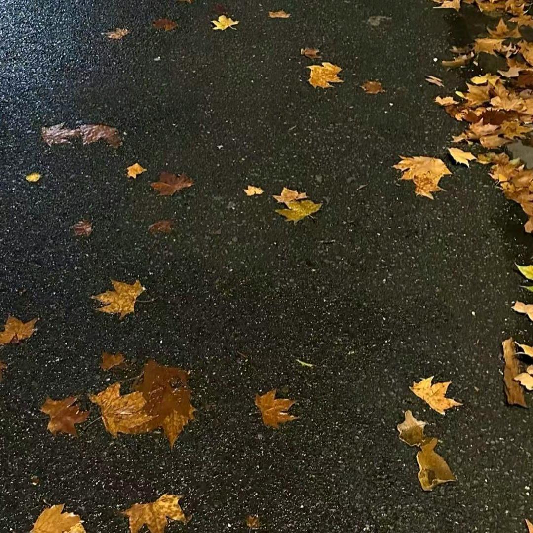 大网红