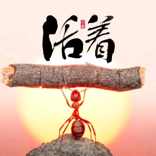 锤自成王