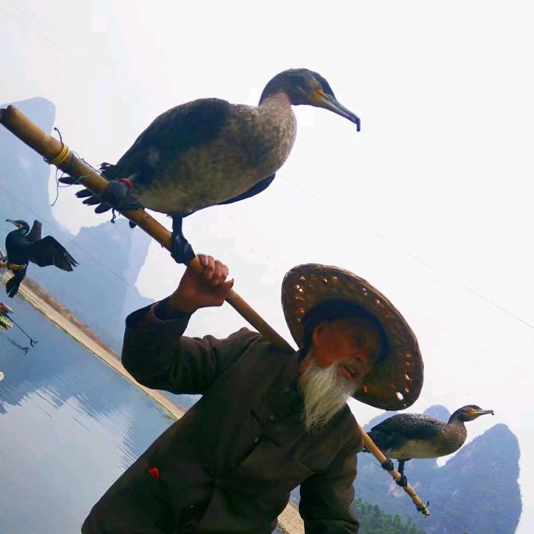 财旺，运旺，福旺