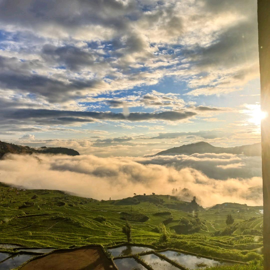 勤快的小马