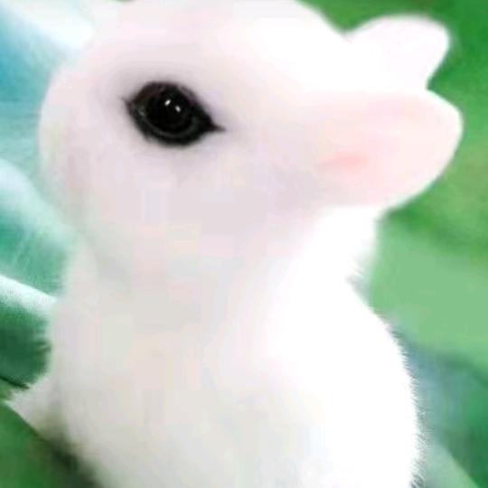 娟娟