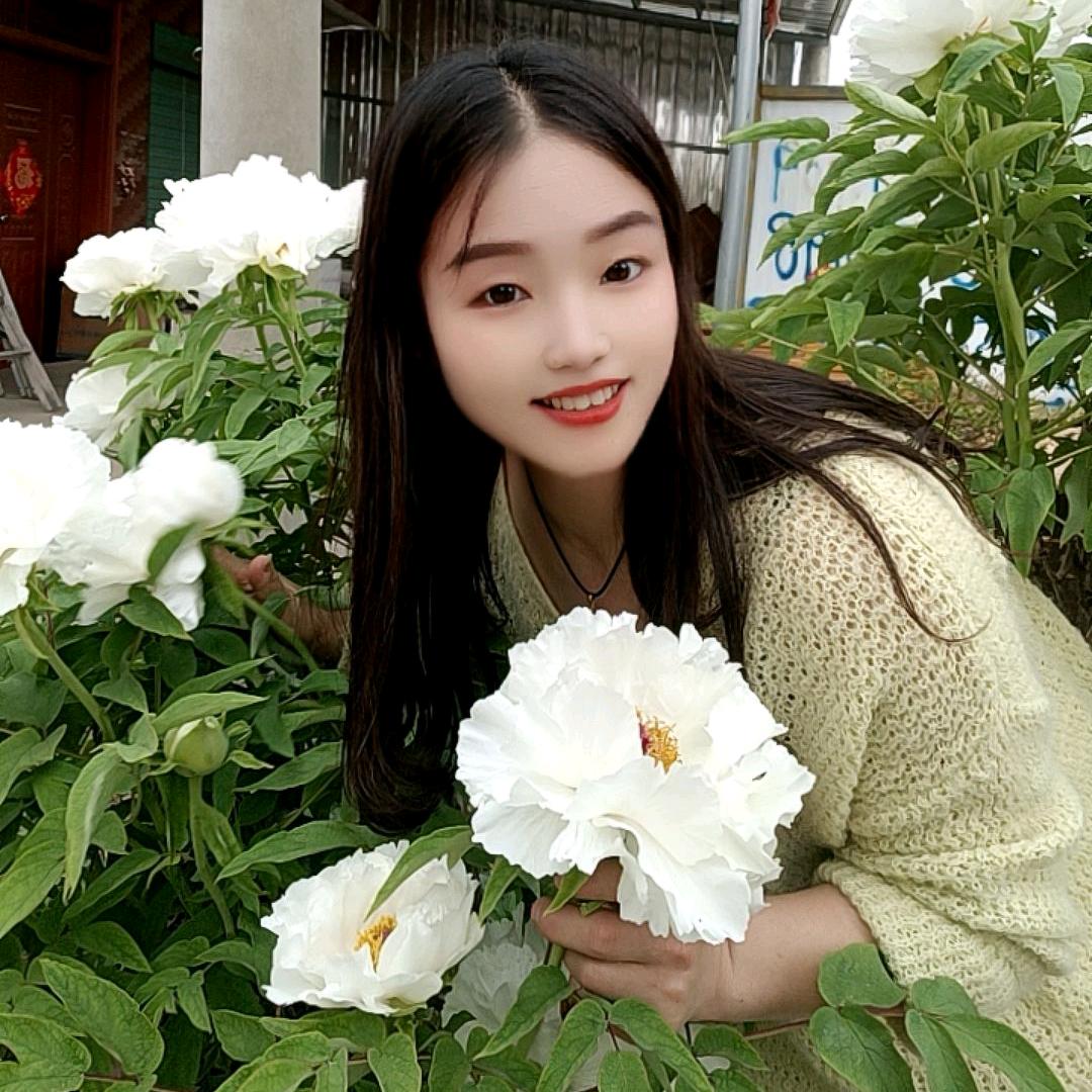 往事随风张敏