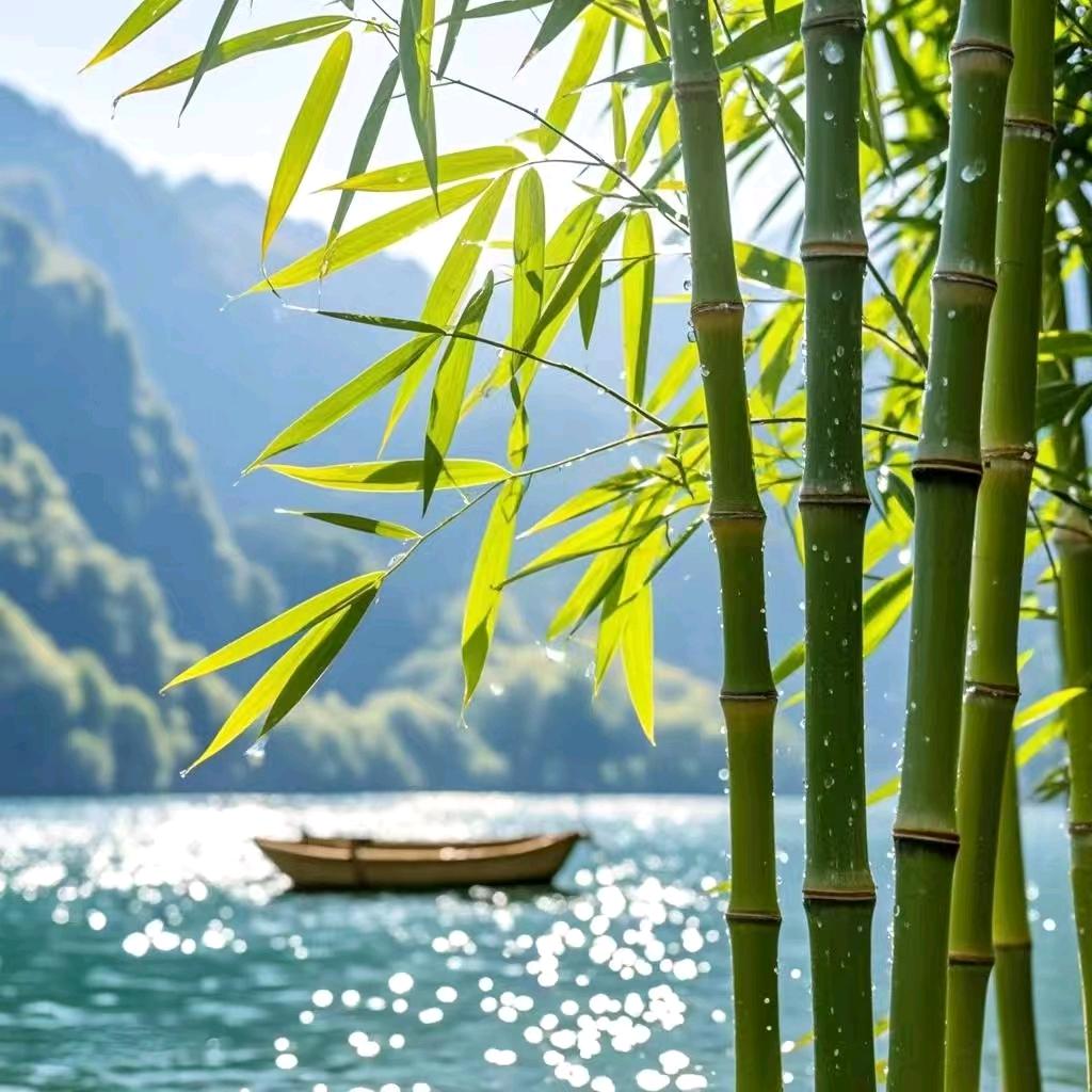 小玥姐
