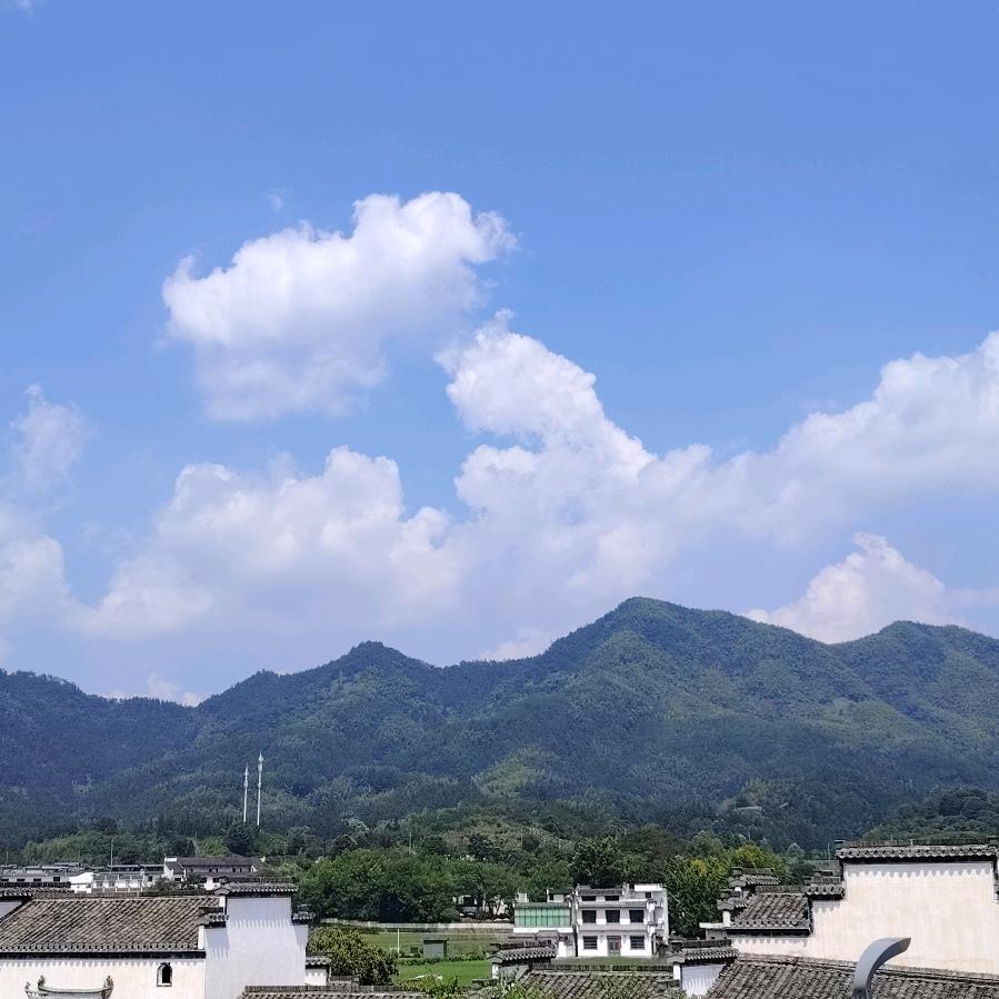 茶语
