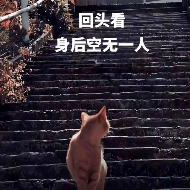 俺有故事你有8加1