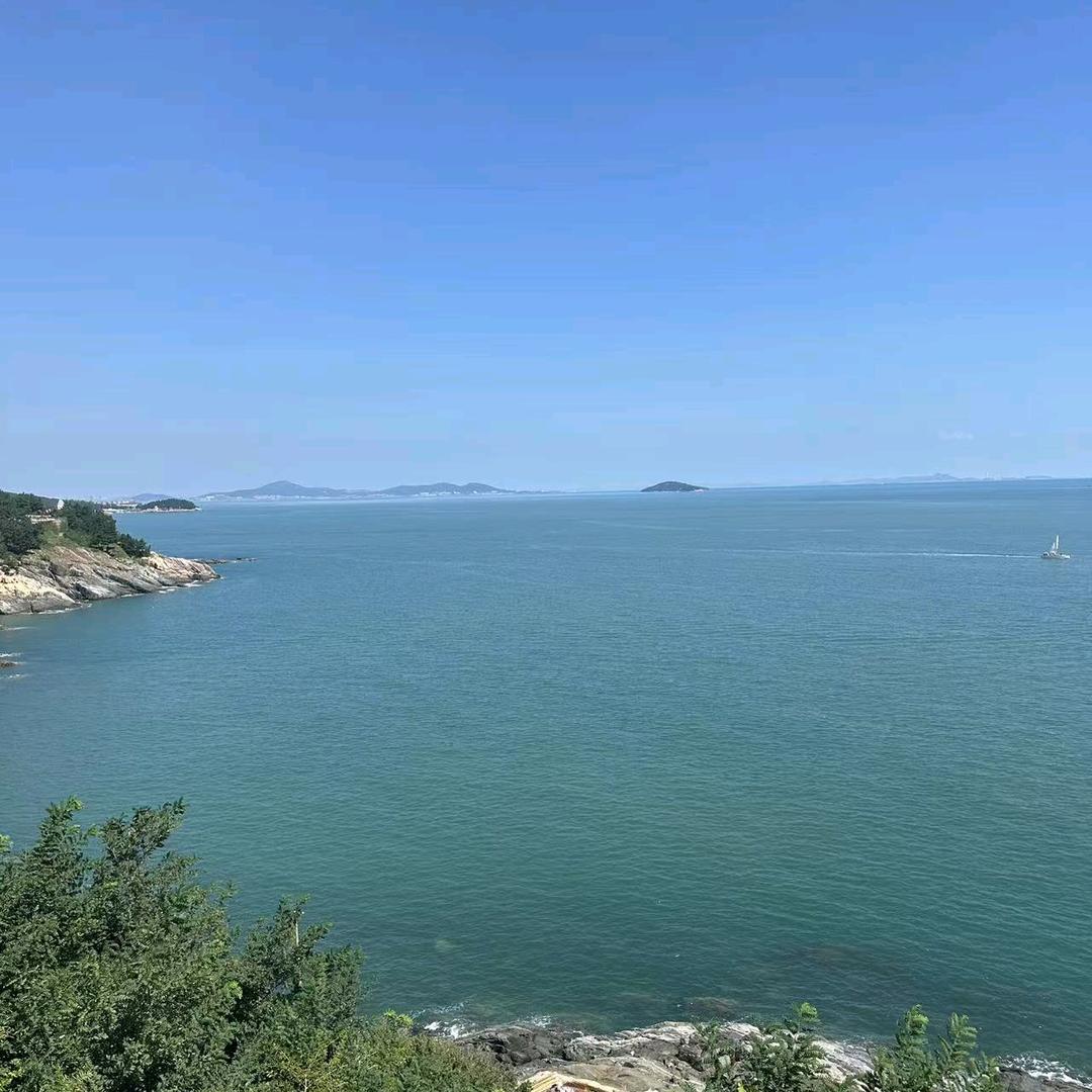 ˋˏᰔᩚˎˊ˗一路🌸生花