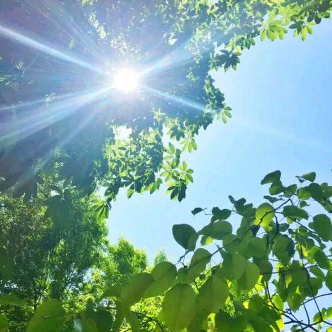 ღ᭄不卑👑不亢ꦿᩚ࿐向阳🌻而生💞࿐