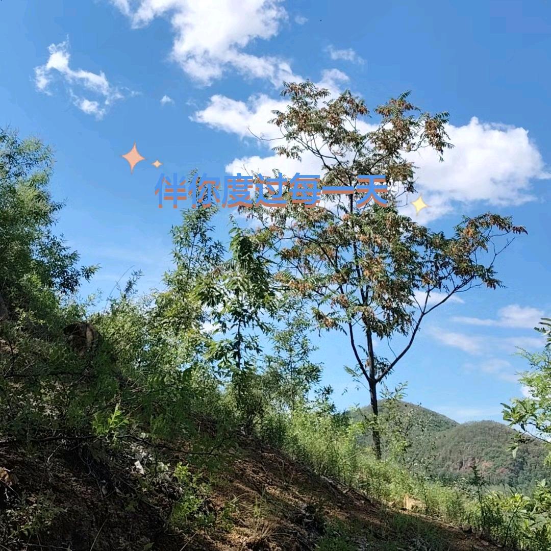 💞一颗心只为你停留💞