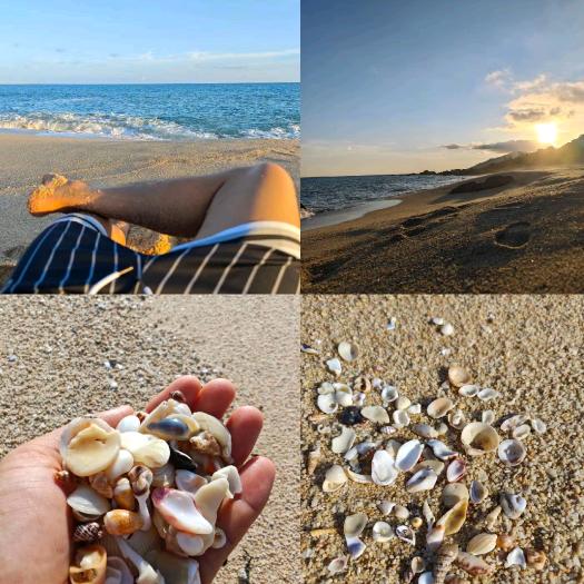 双月湾东帆旅游有限公司