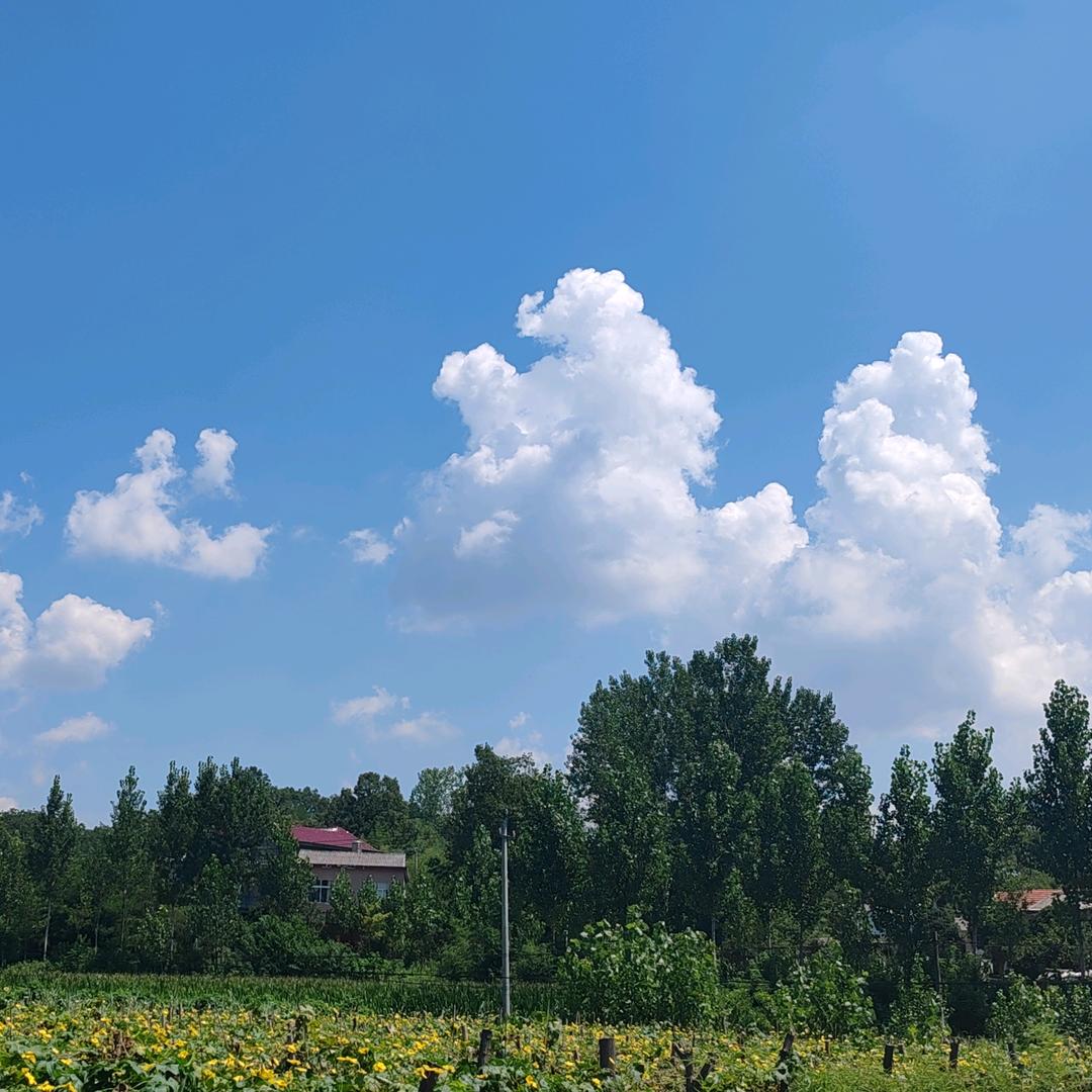 益品香—刘经理