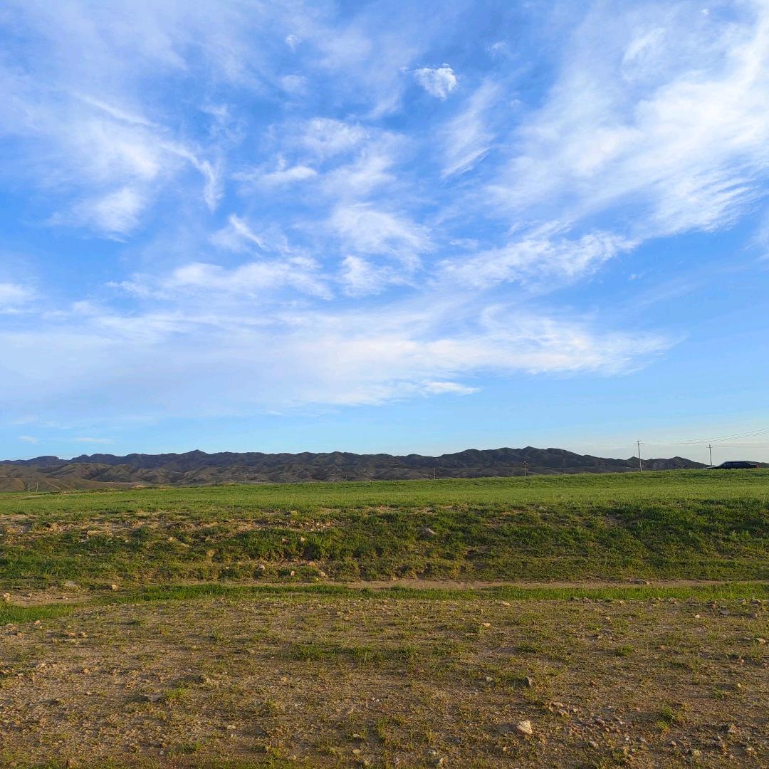 再不努力就奔三了💫