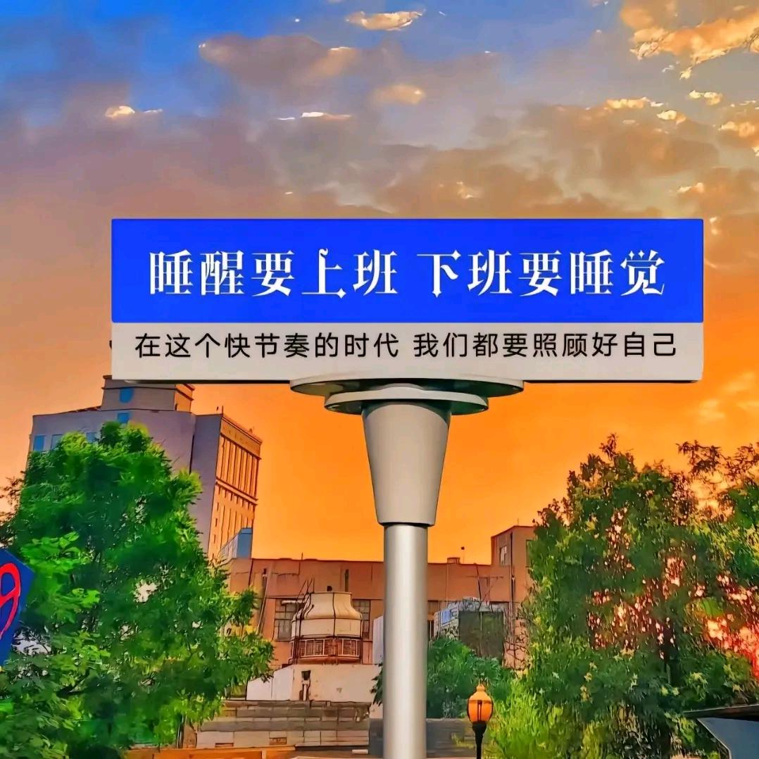 ✧菜欣馨