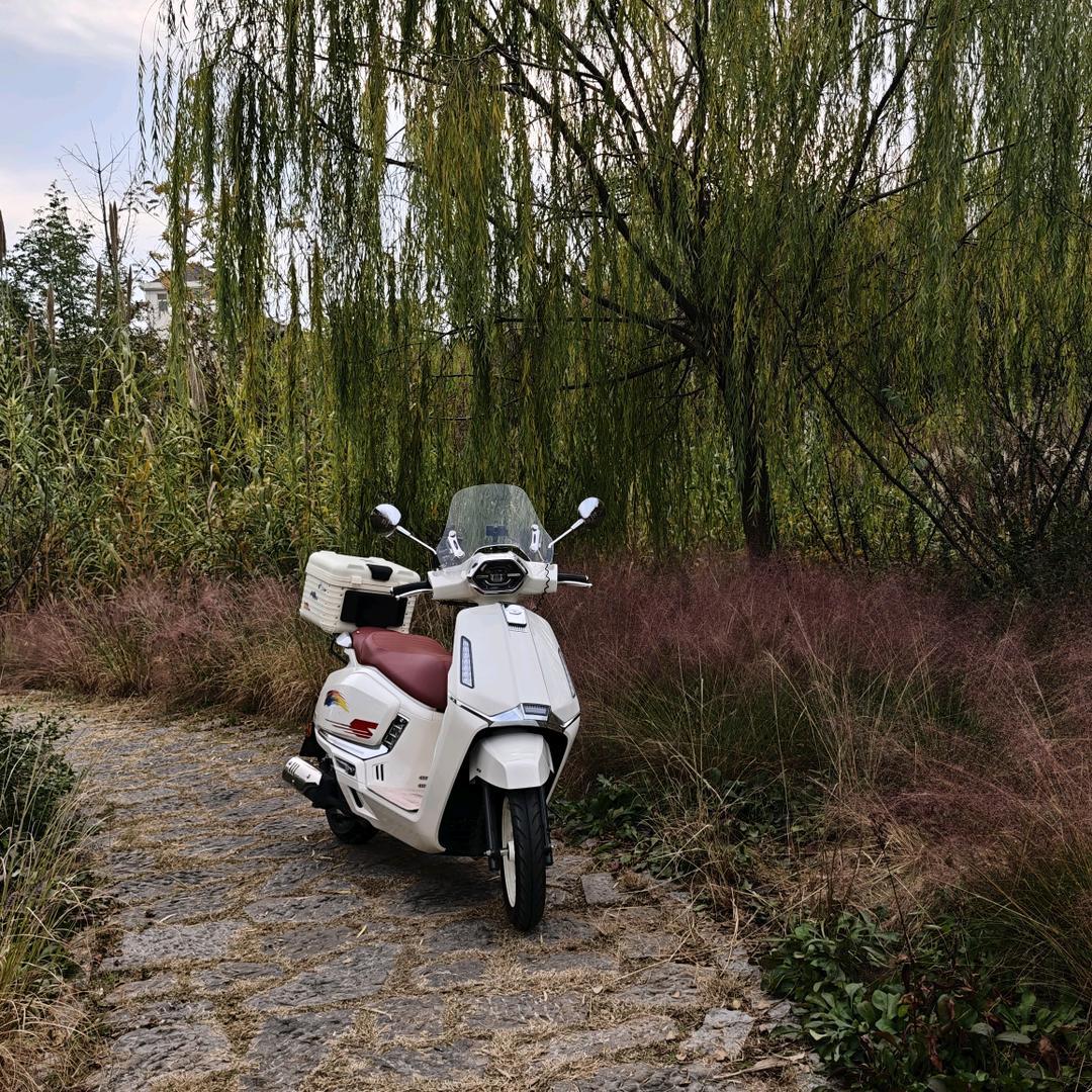 咕噜咕噜咕噜熊