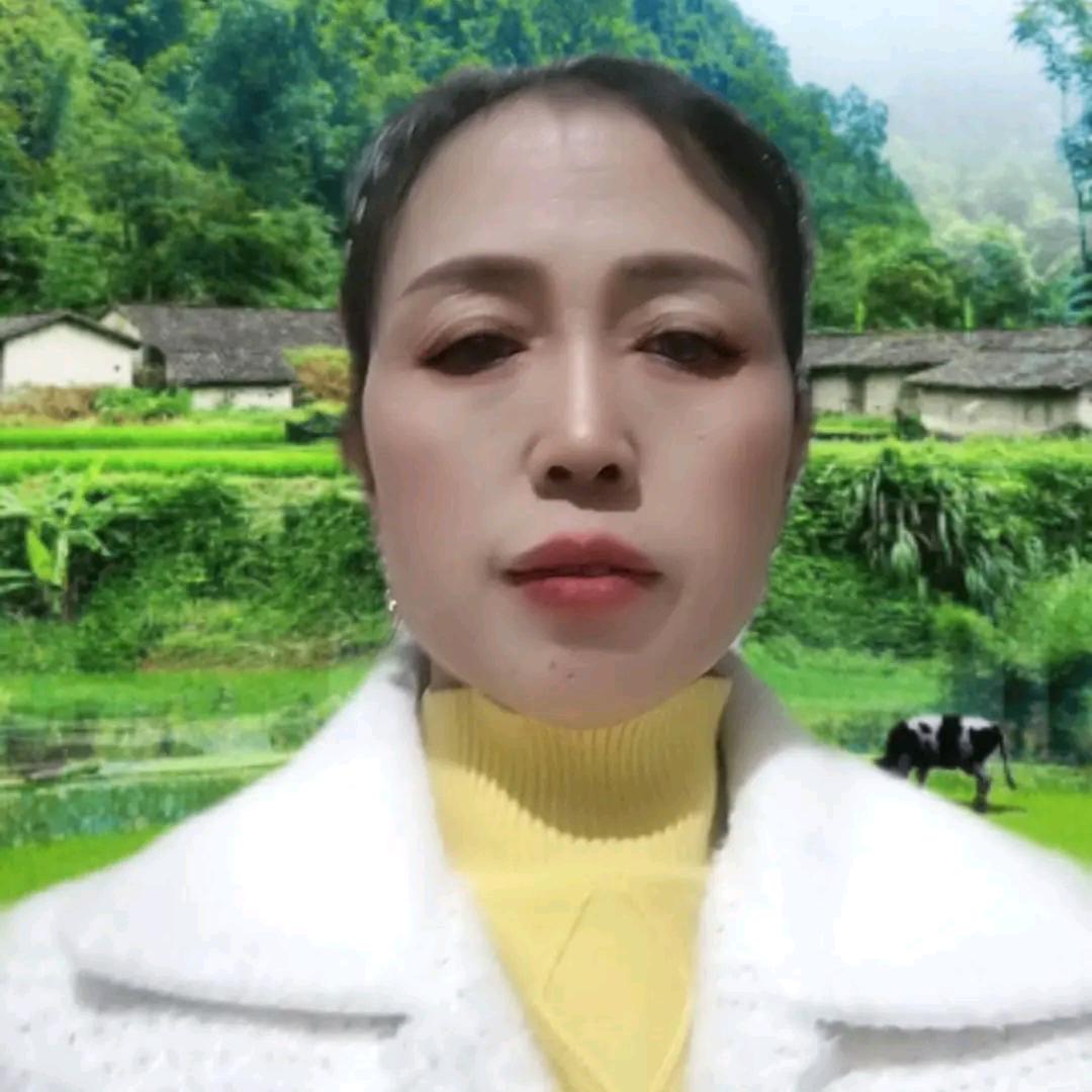 陈姐