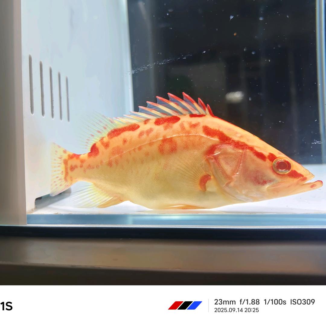 怎么快乐怎么来°