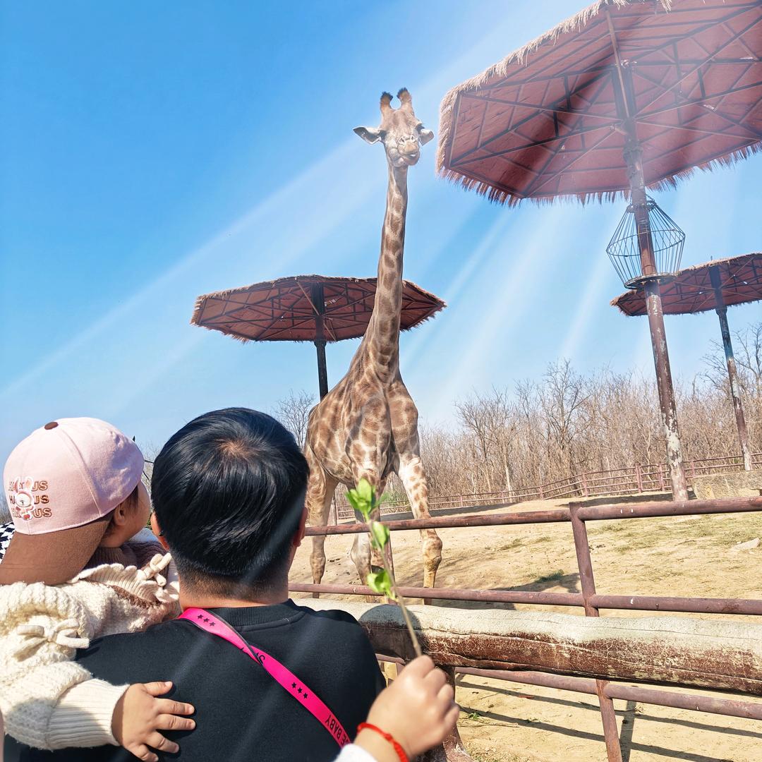 是小张老师吖～