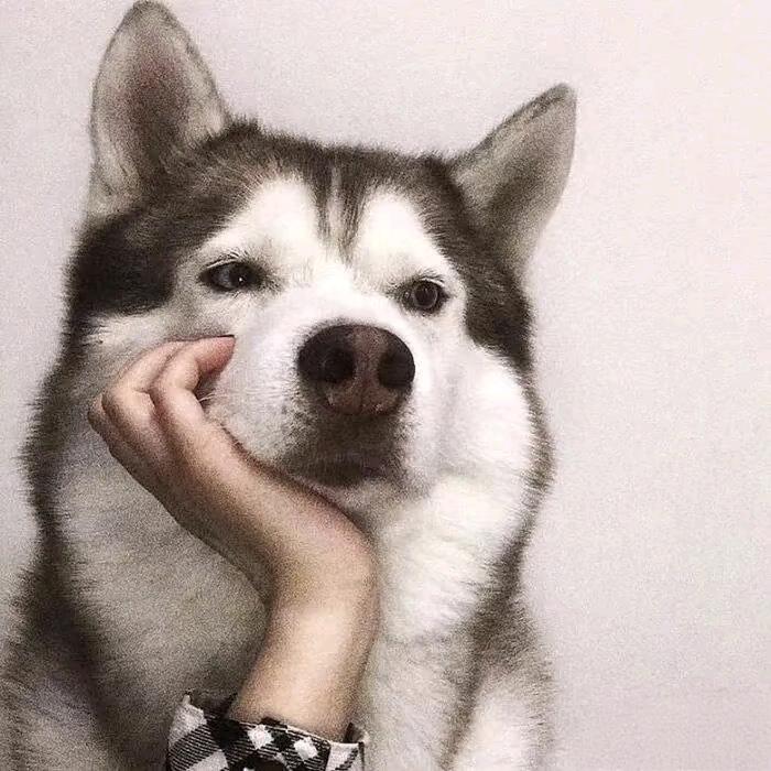发发
