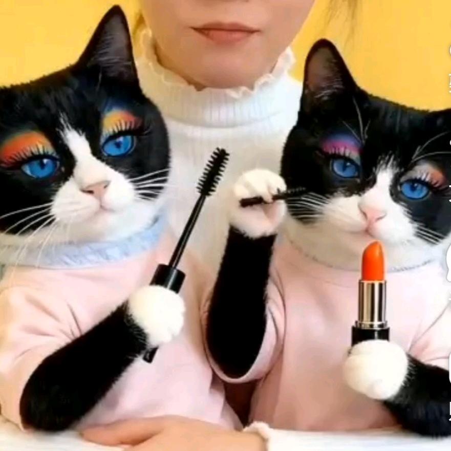 沙里飞@