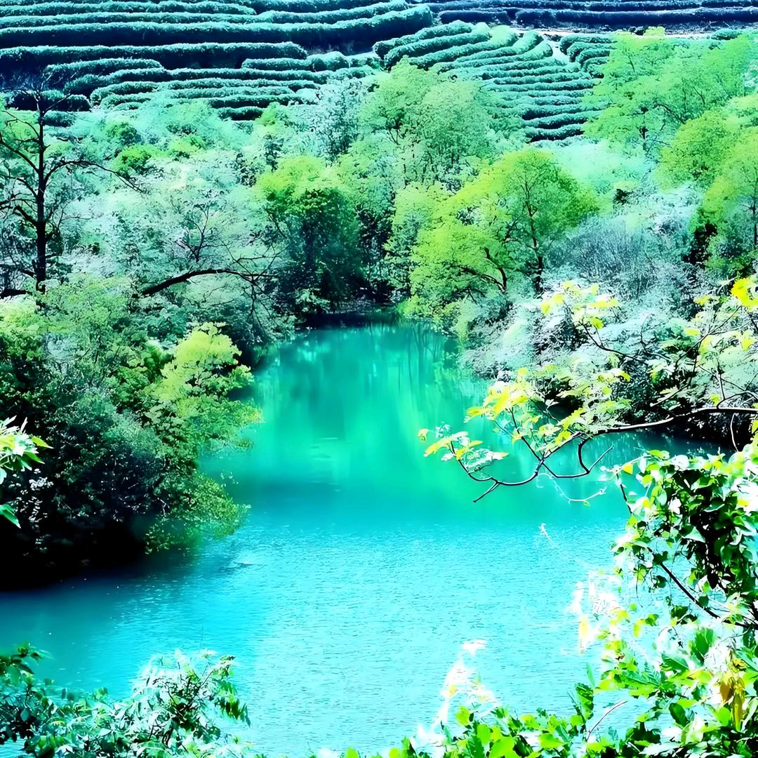 顶峰