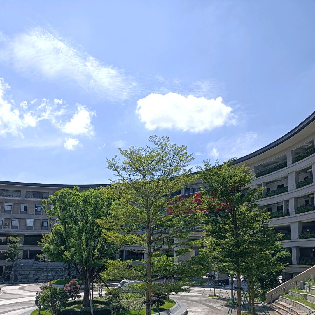 品牌线上直销11