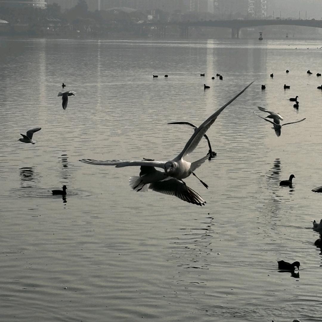改变这个号